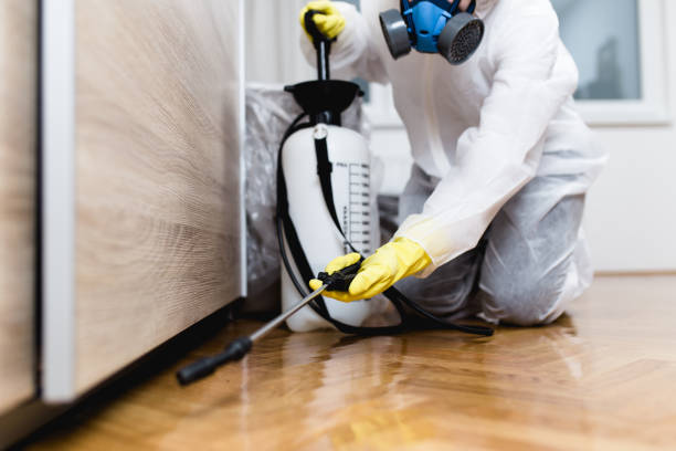 Wildlife Control Services in Elmwood, LA