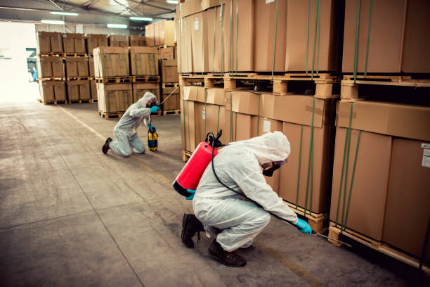 Best Affordable Pest Control Services  in Elmwood, LA