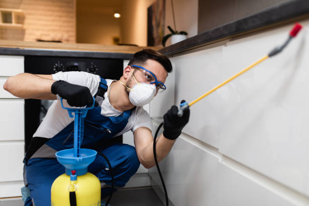 Reliable Elmwood, LA Pest Control Solutions