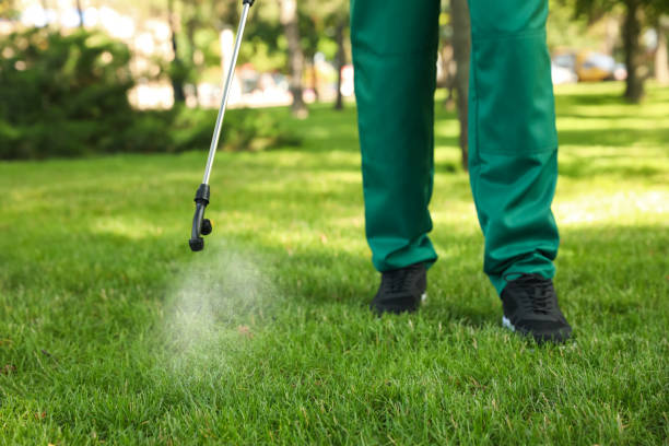 Best Pest Prevention Services  in Elmwood, LA