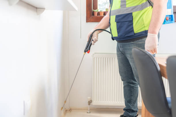 Best Bed Bug Extermination  in Elmwood, LA