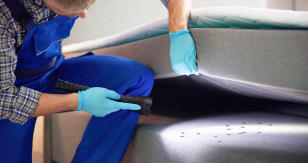 Best Pest Control Near Me in Elmwood, LA
