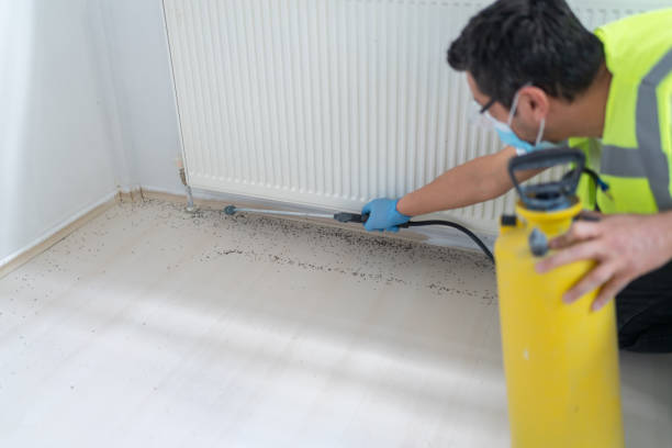 Flea Control Services in Elmwood, LA